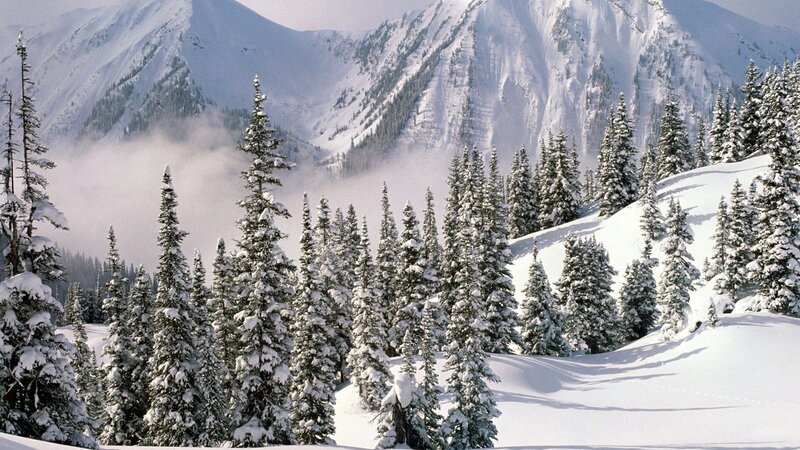 Snowy mountain forest landscape