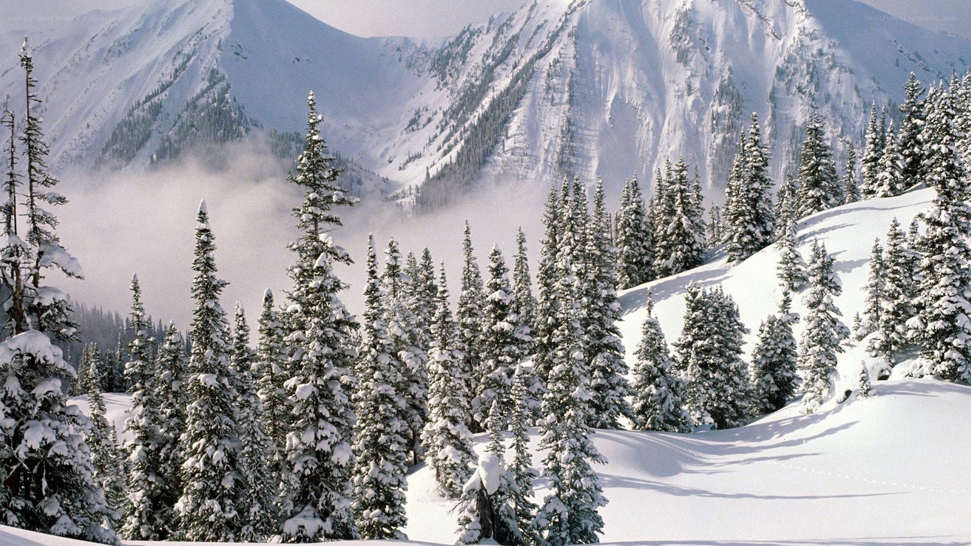 Snowy mountain forest landscape