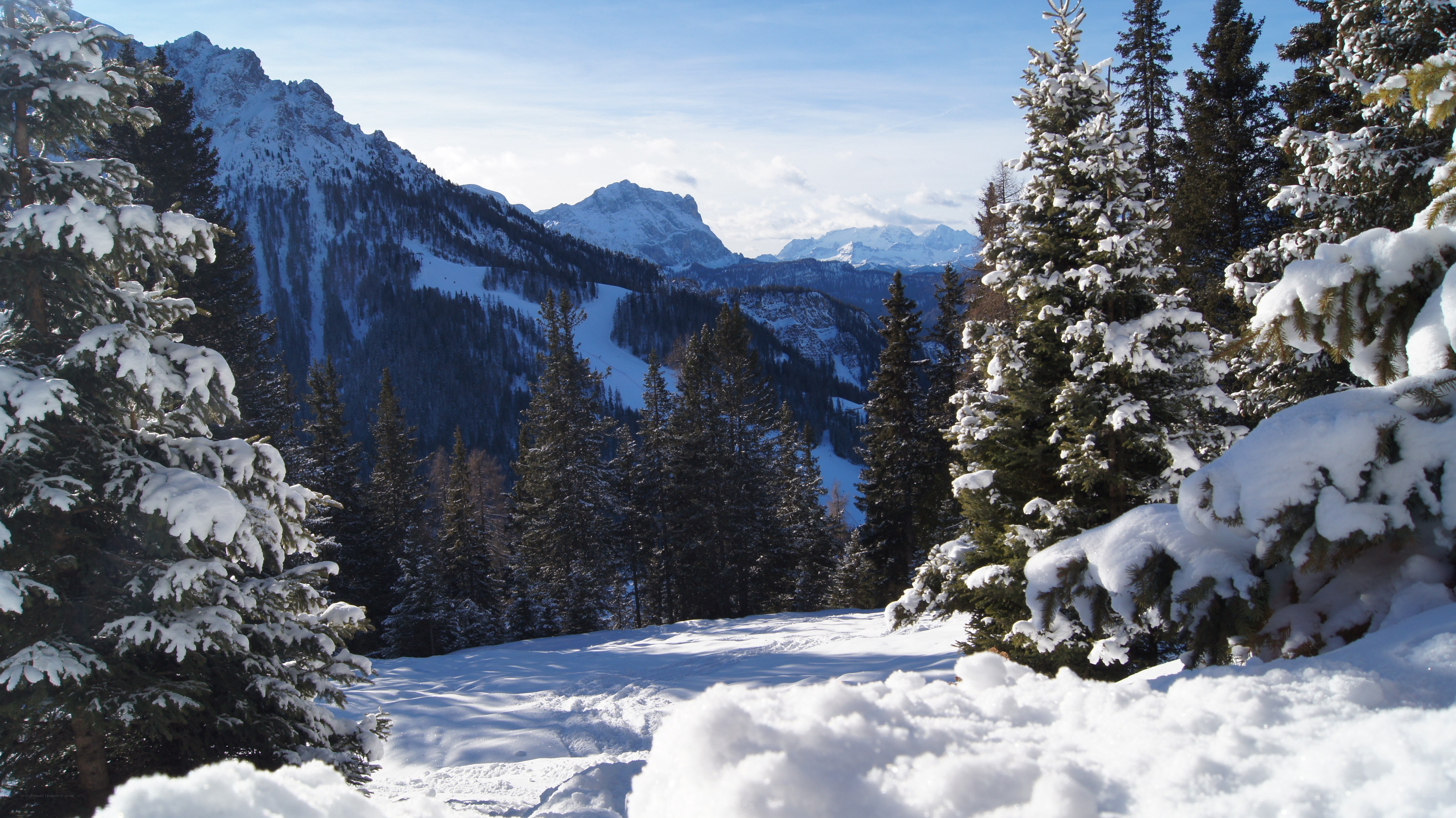 Snowy mountain forest landscape