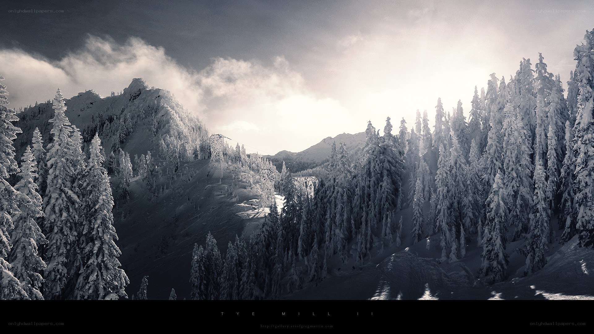 Snowy mountain forest landscape