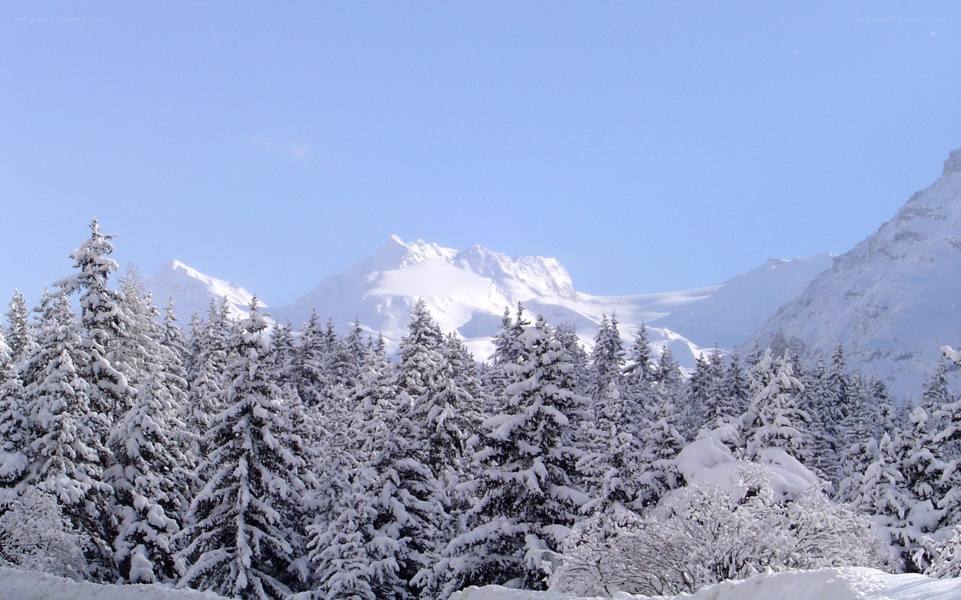 Snowy mountain forest landscape