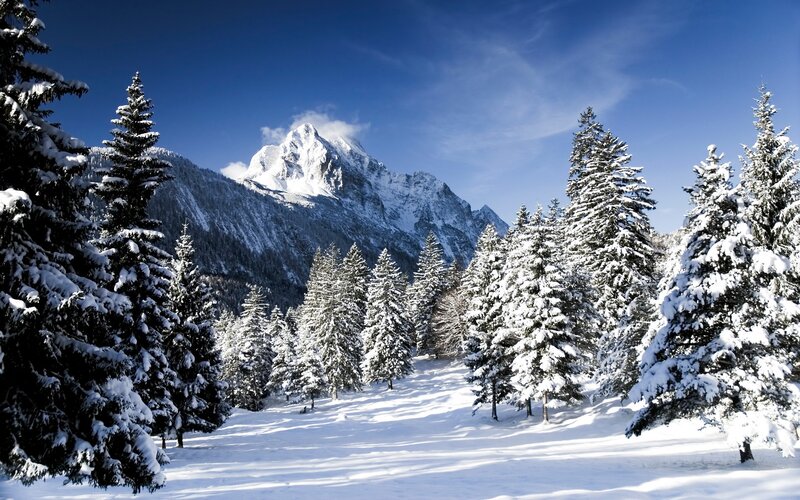 Snowy mountain forest landscape
