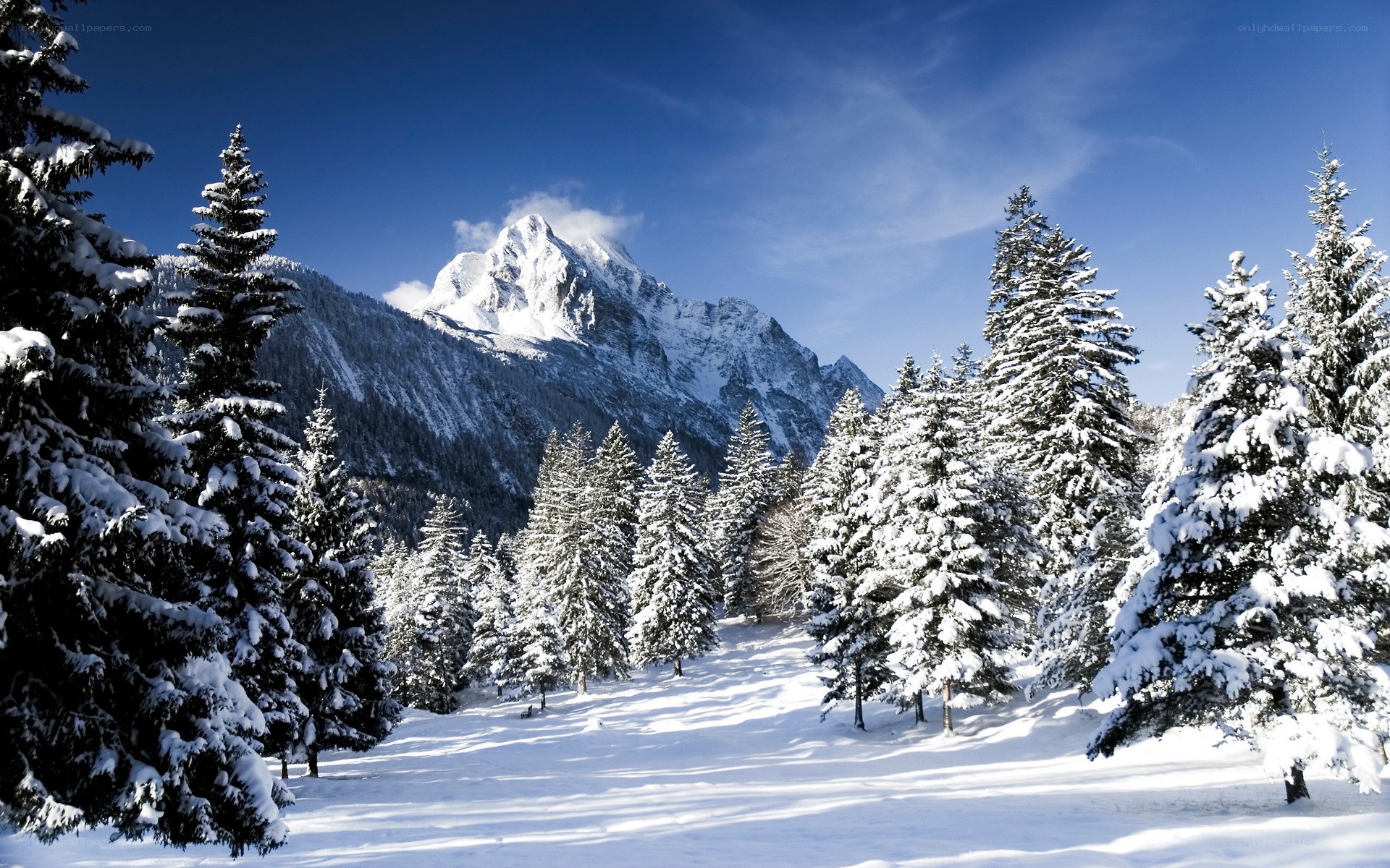 Snowy mountain forest landscape
