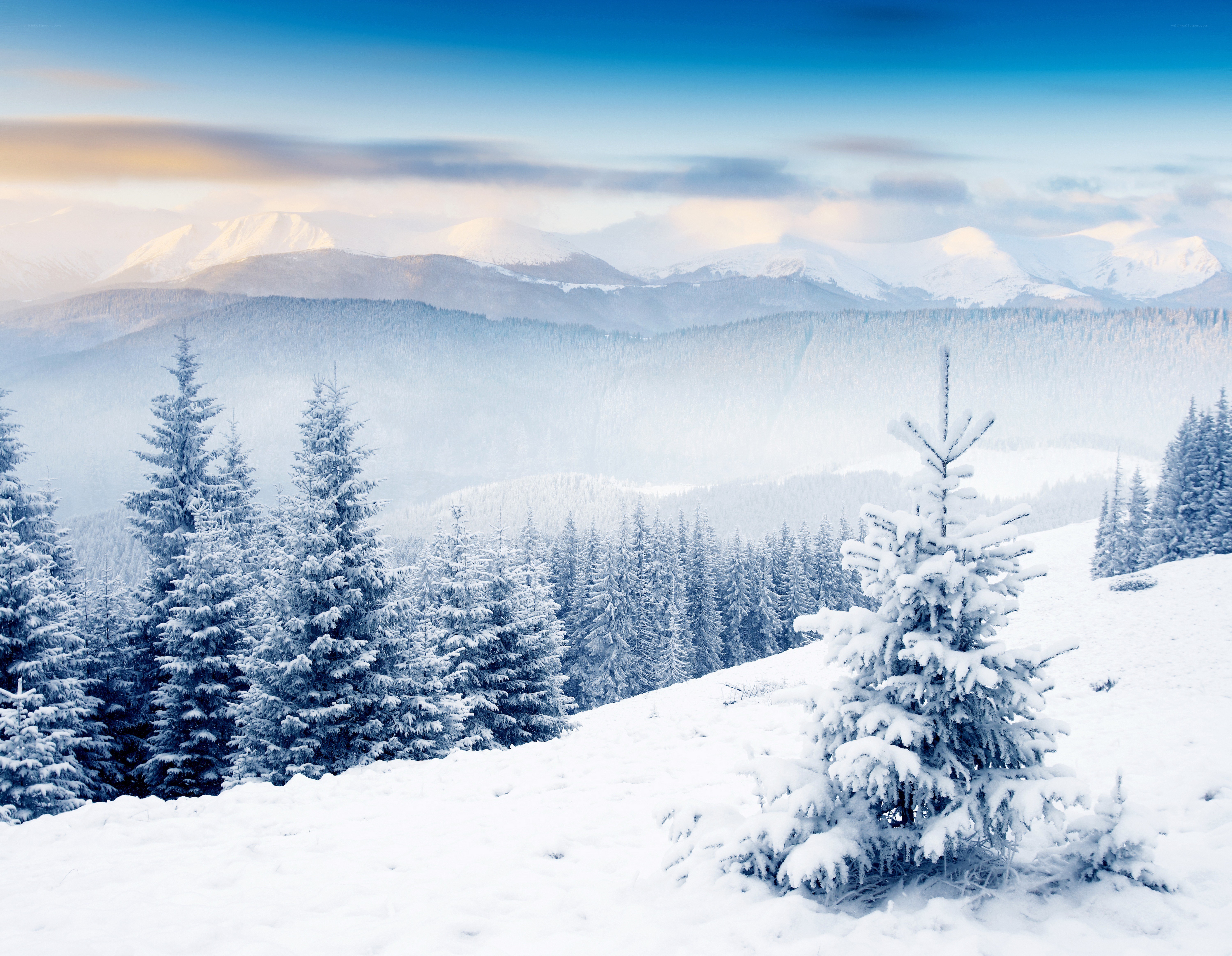 Snowy mountain forest landscape