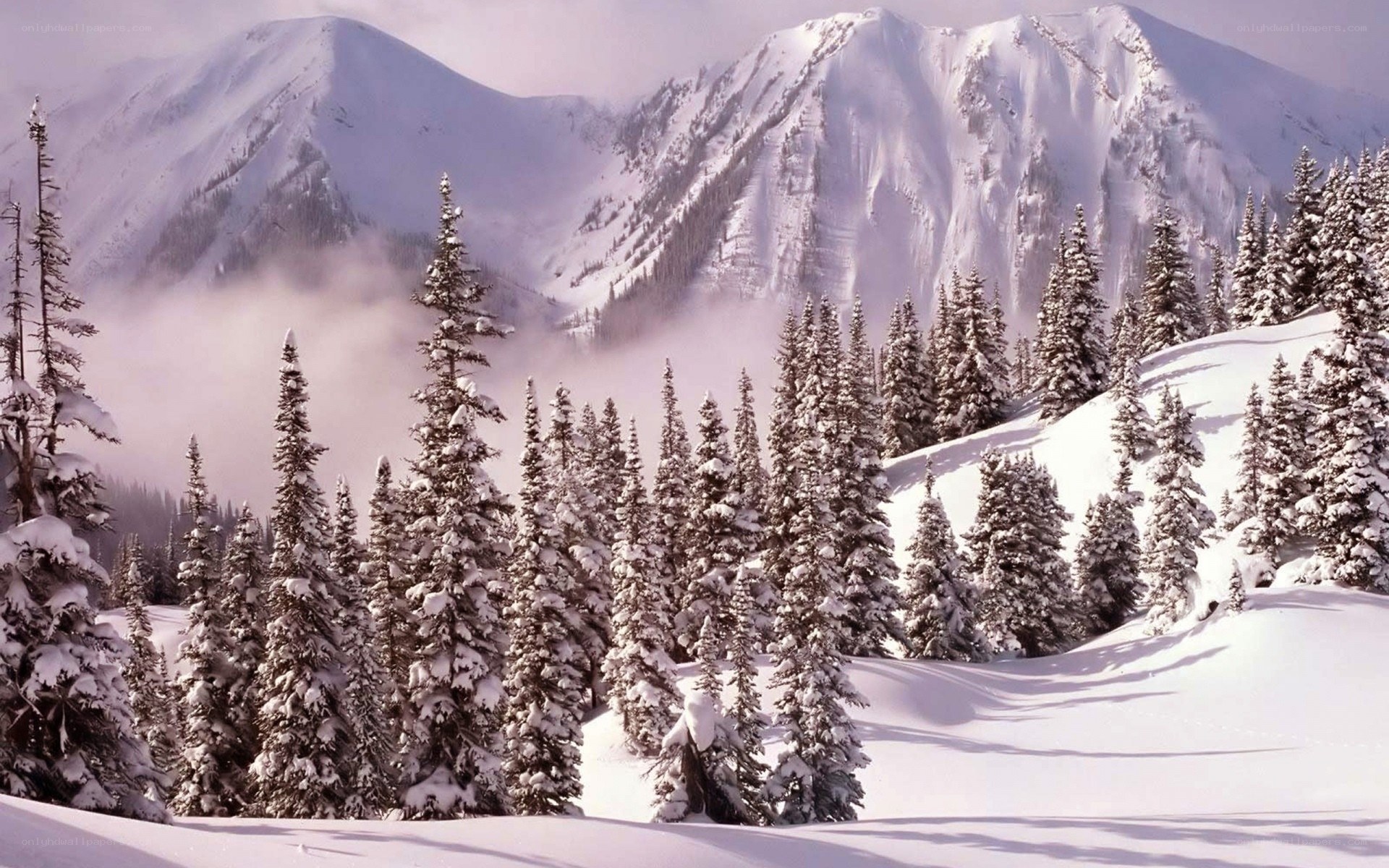 Snowy mountain forest landscape