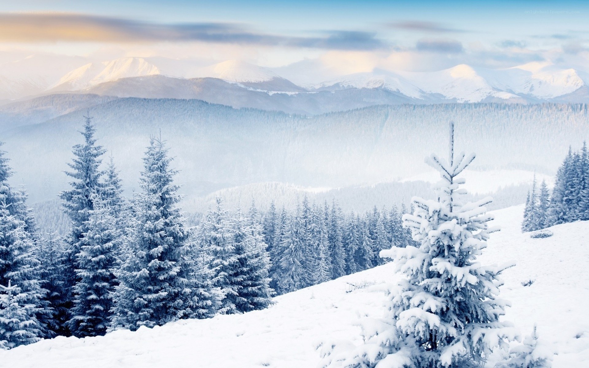 Snowy mountain forest landscape