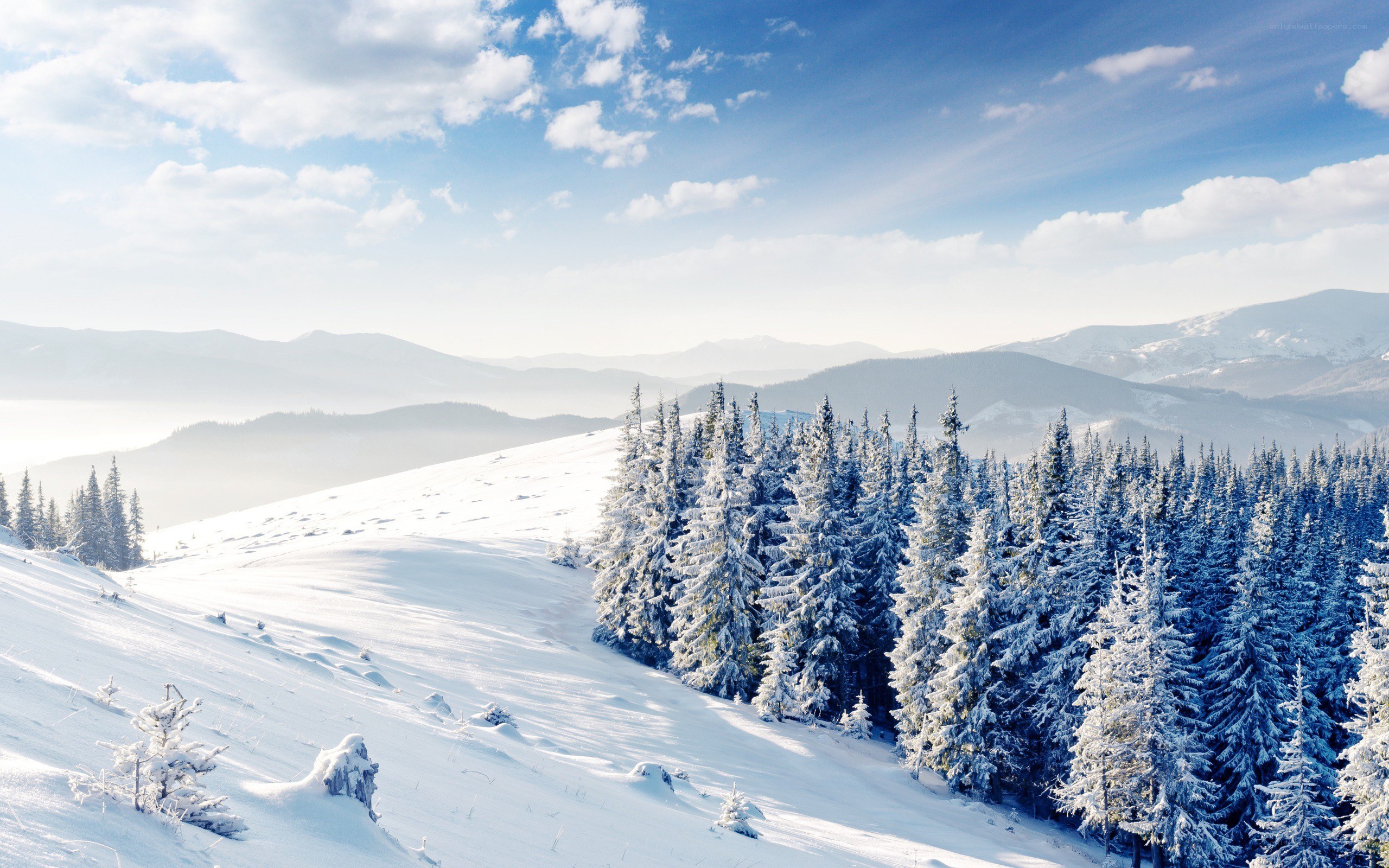 Snowy mountain forest landscape
