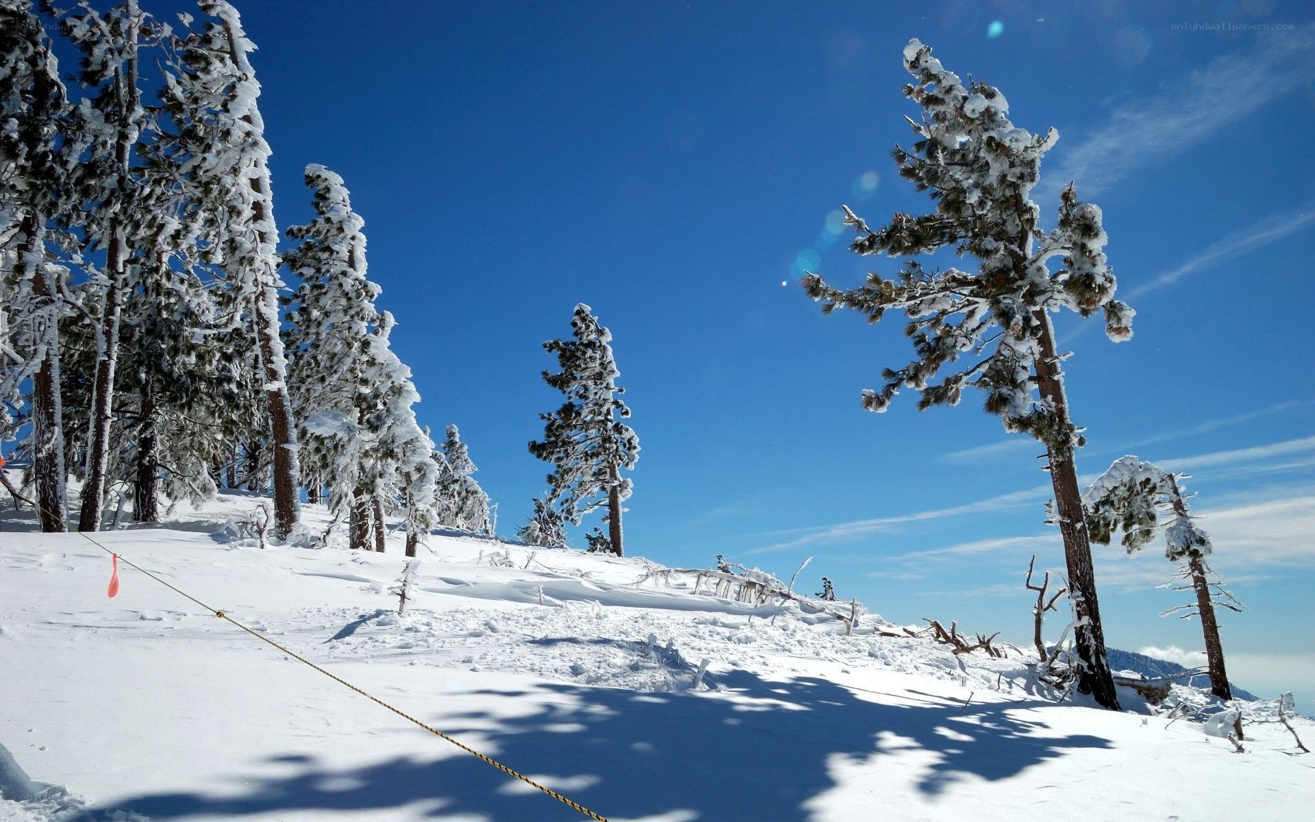Snowy mountain forest landscape