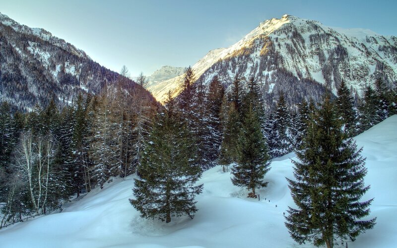 Snowy mountain forest landscape