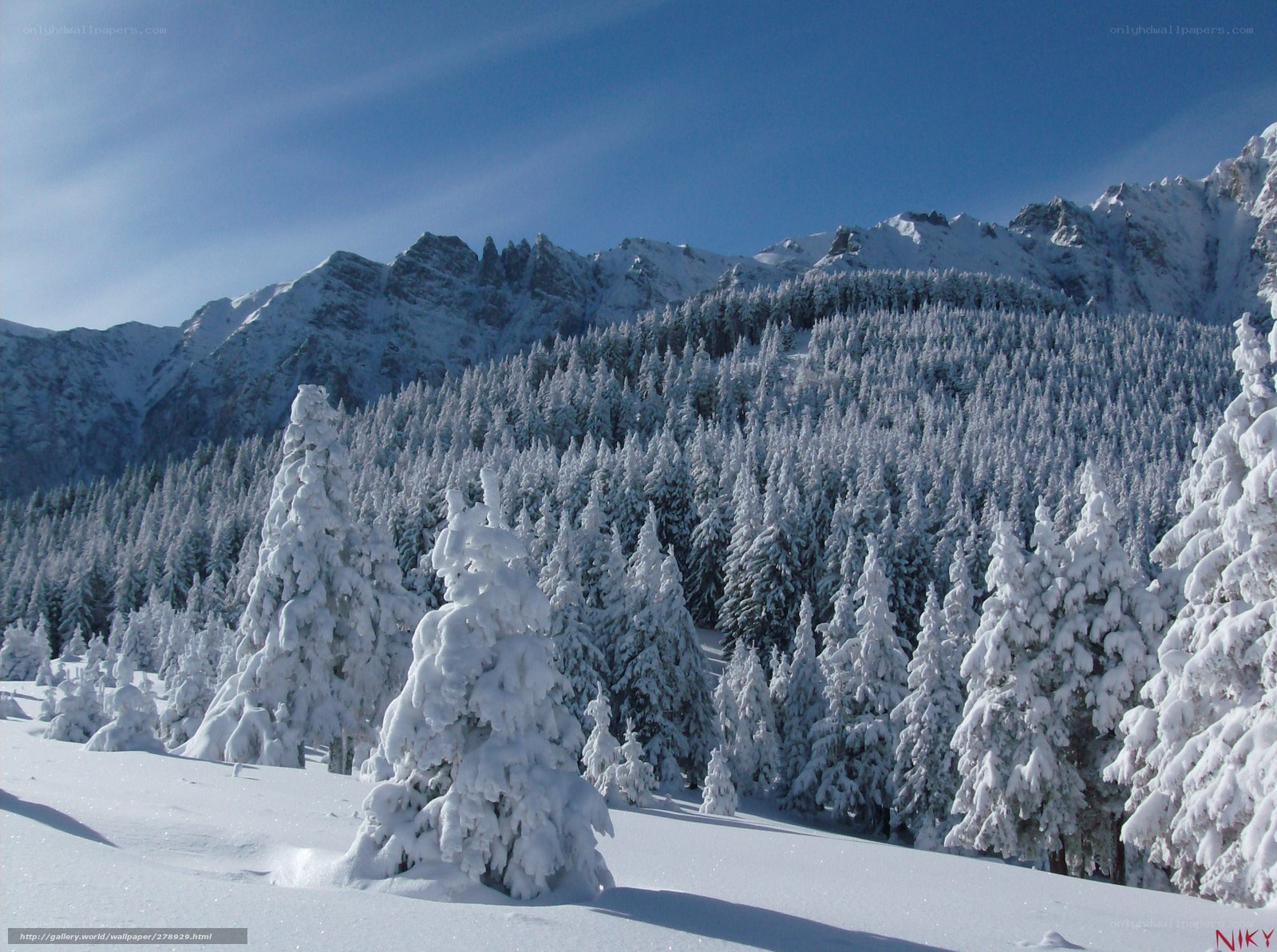Snowy mountain forest landscape