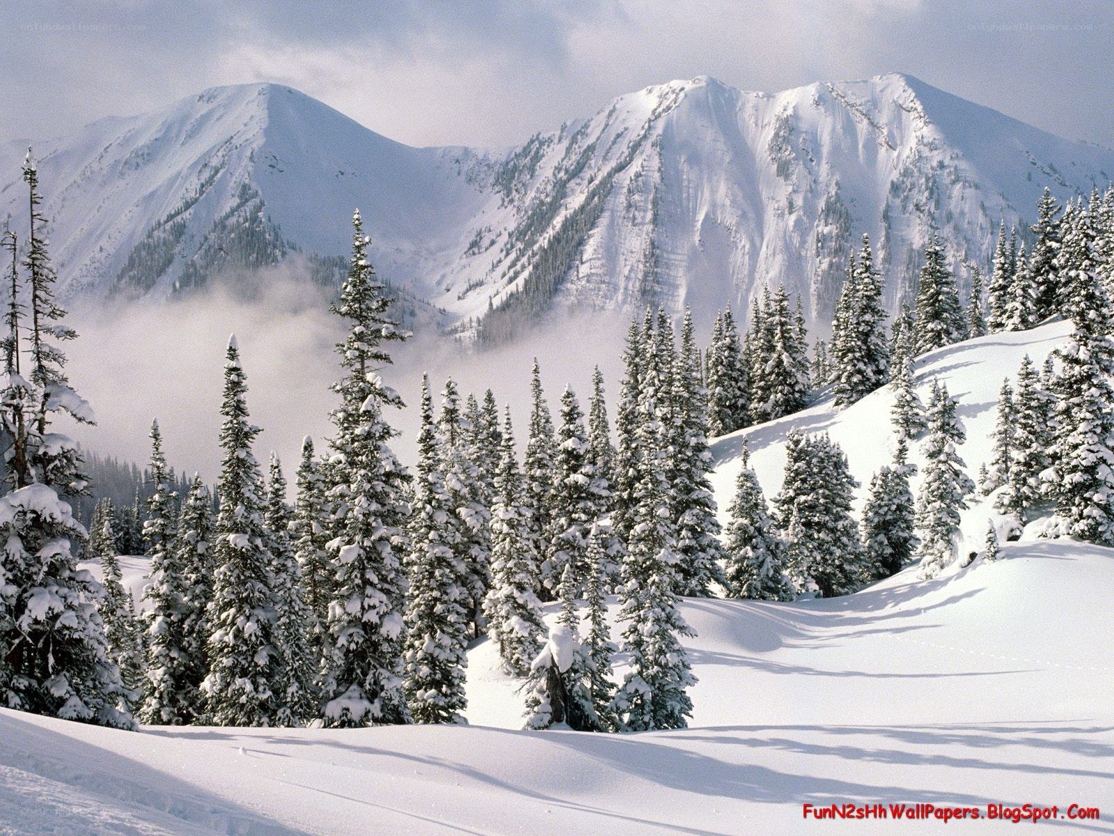 Snowy mountain forest landscape