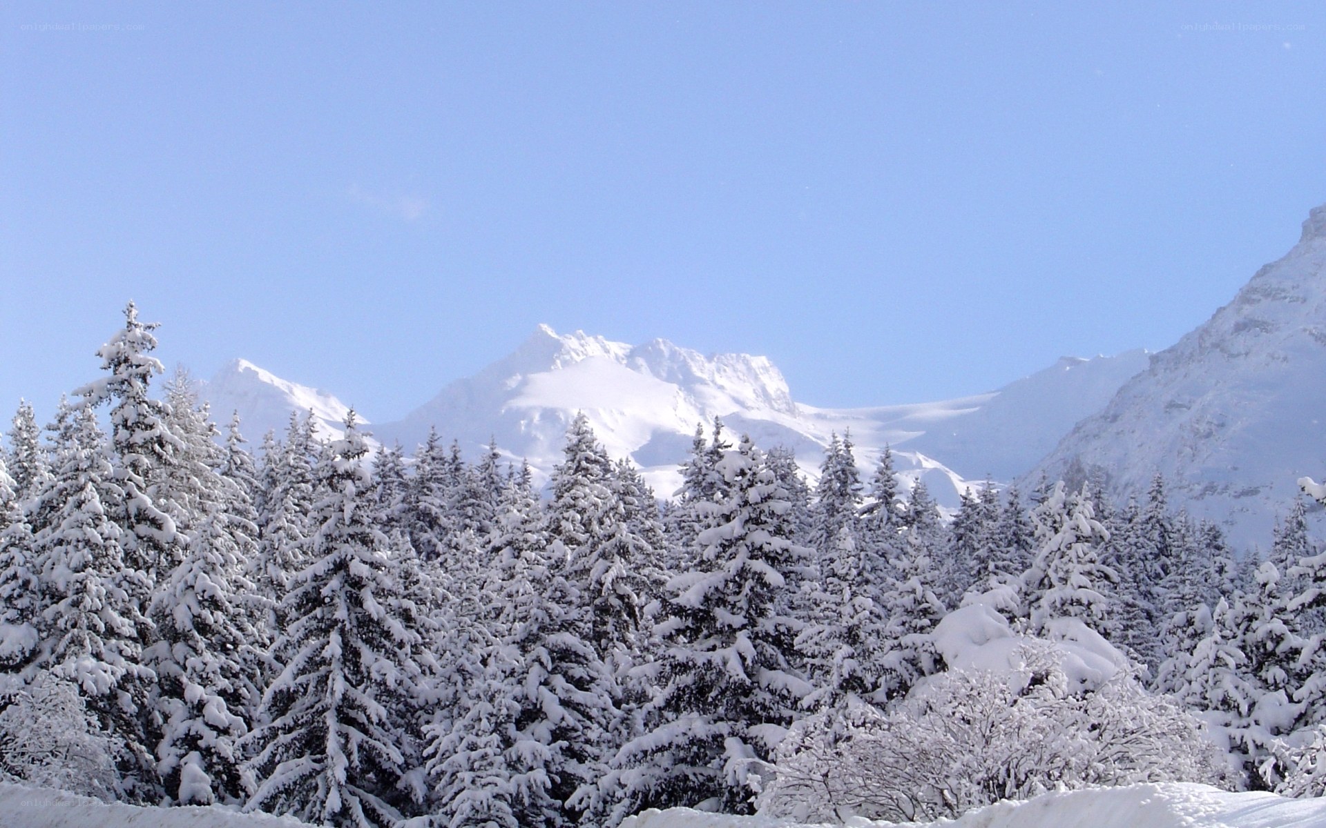 Snowy mountain forest landscape