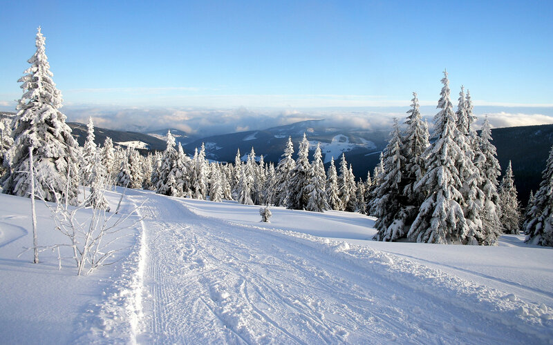 Snowy mountain forest path