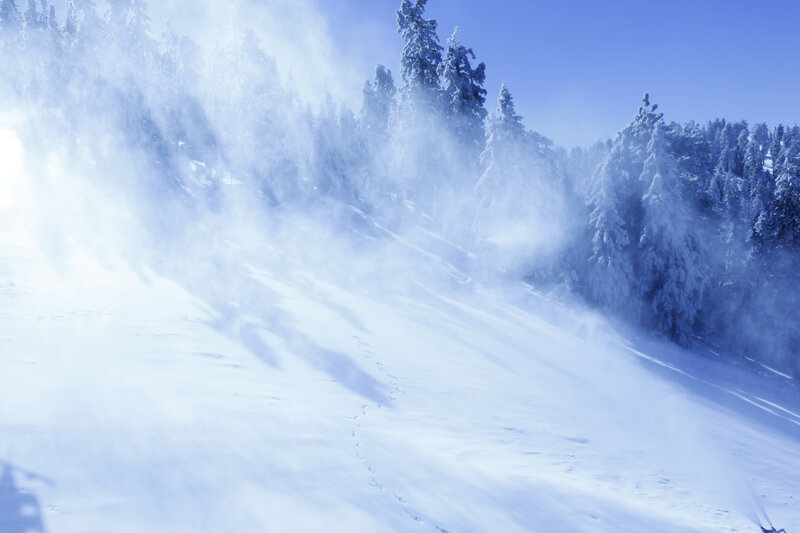 Snowy mountain forest scene