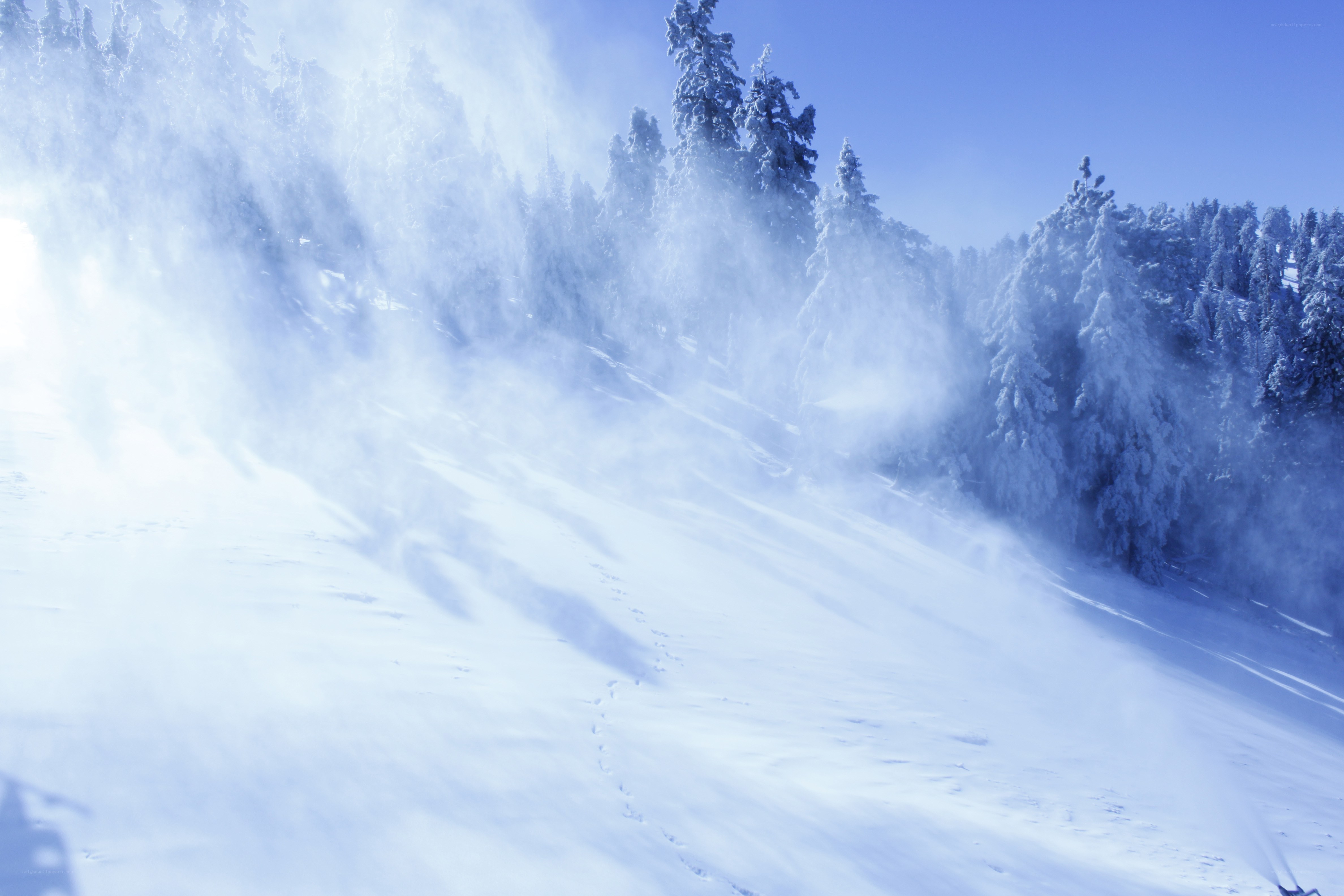Snowy mountain forest scene
