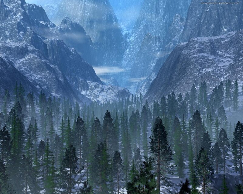 Snowy Mountain Forest