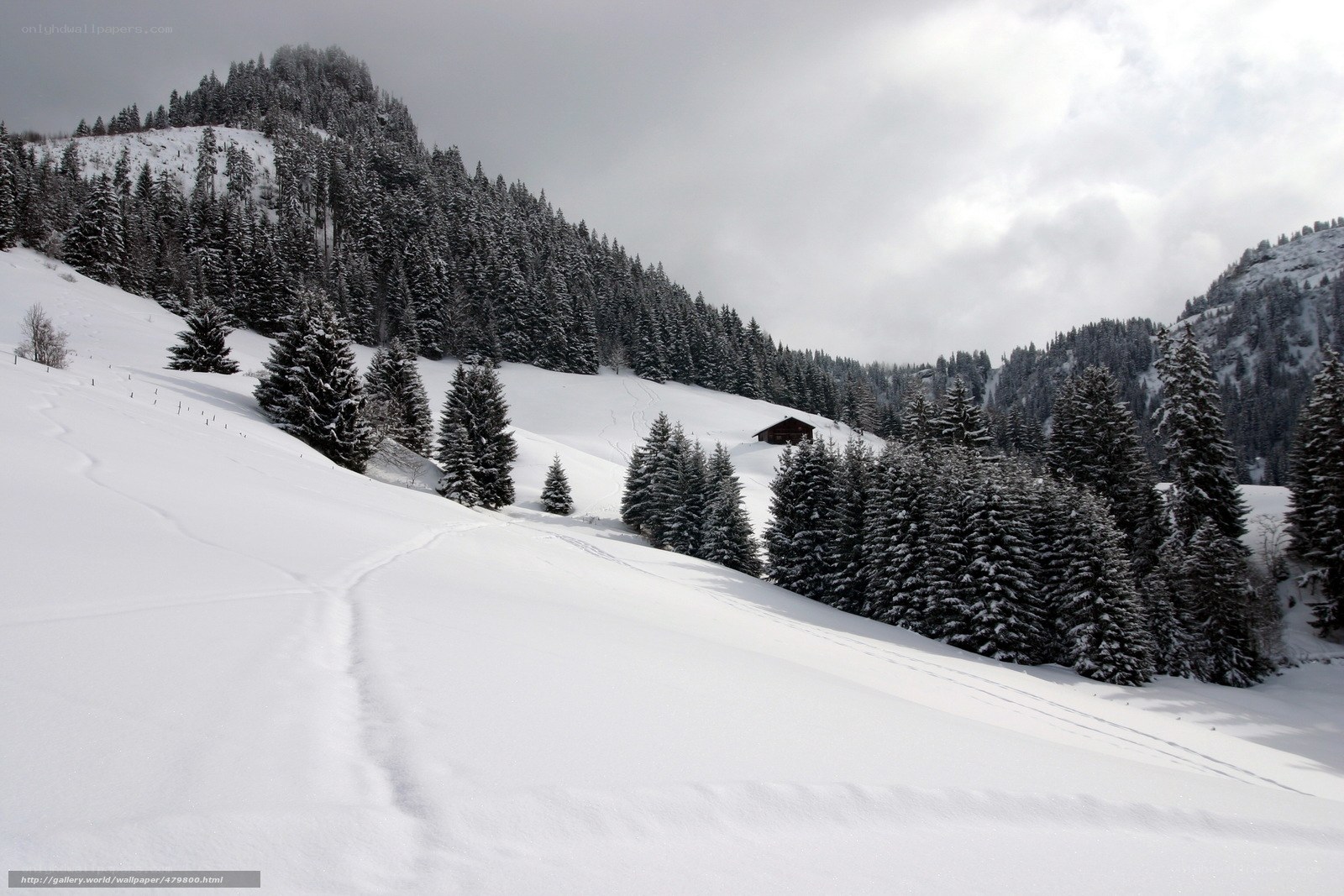 Snowy mountain landscape