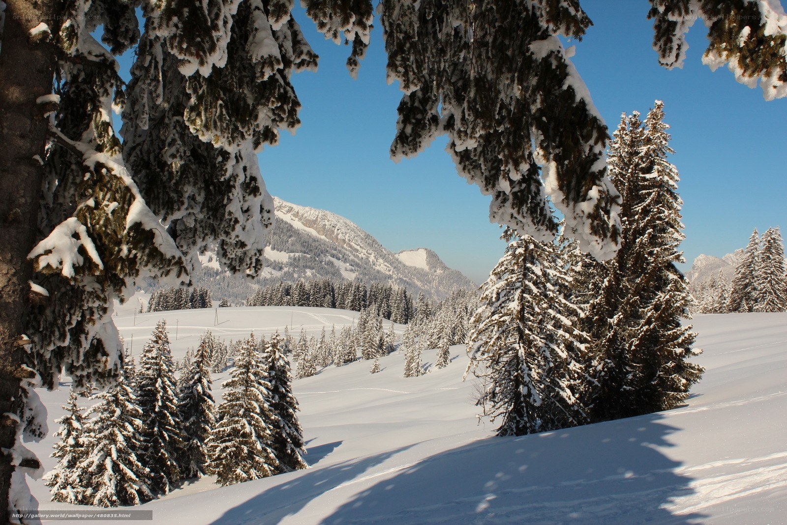 Snowy mountain landscape