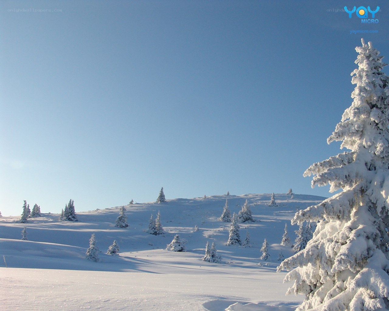 Snowy mountain landscape