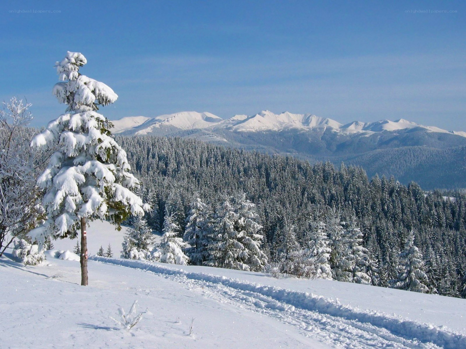 Snowy mountain landscape
