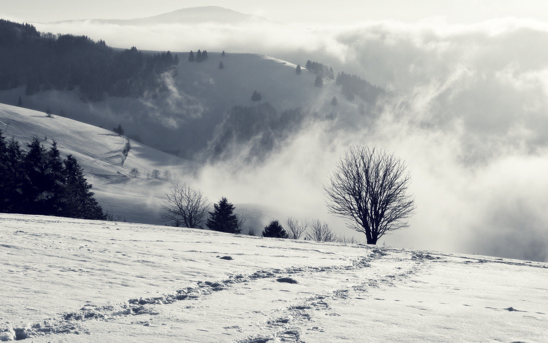 Snowy mountain landscape