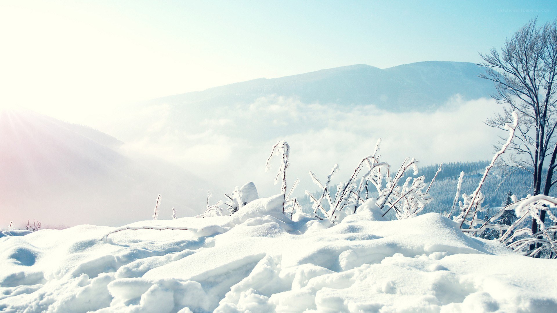 Snowy mountain landscape