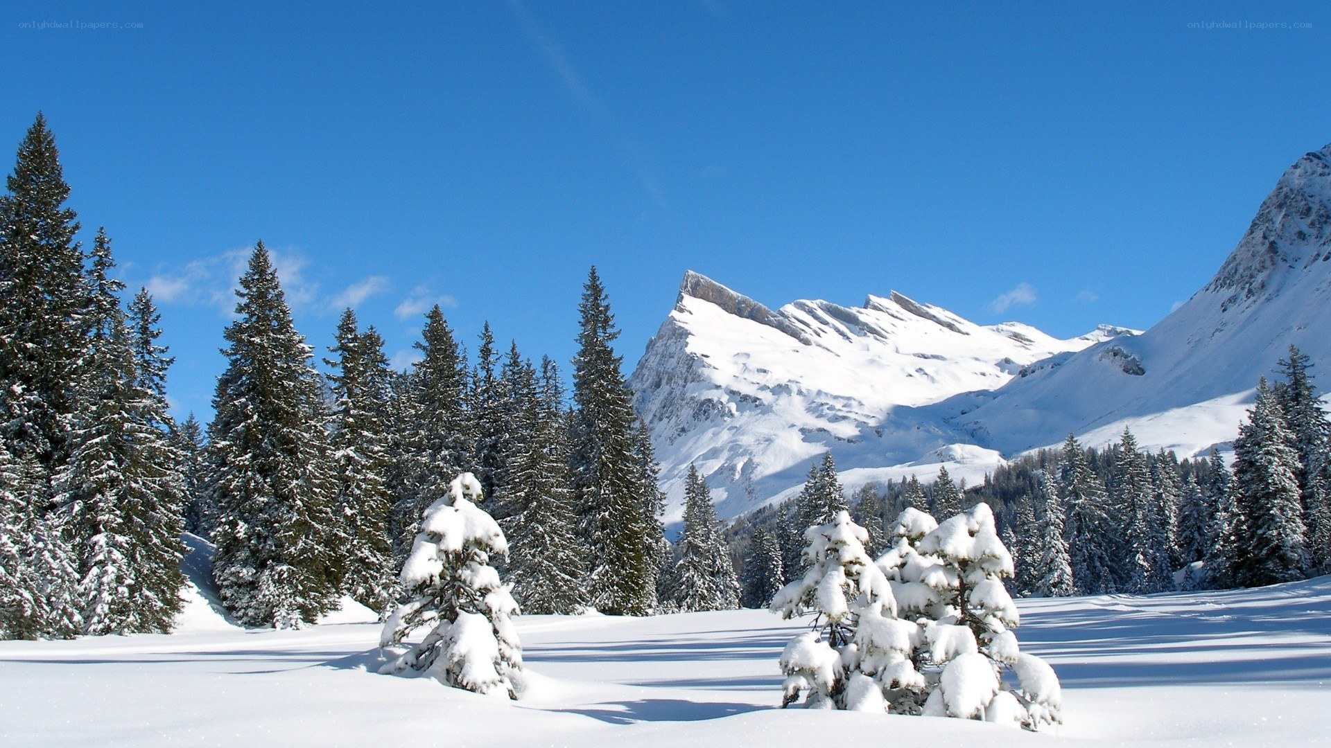 Snowy mountain landscape