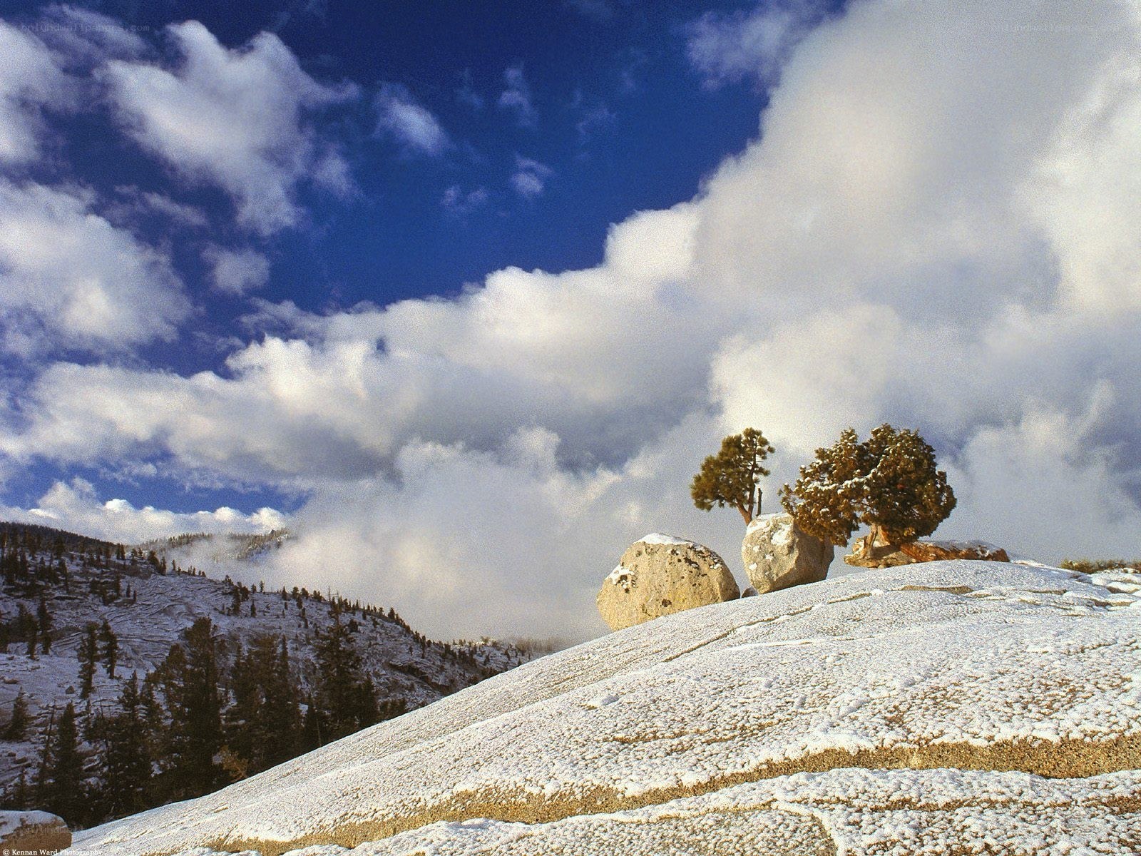 Snowy mountain landscape with trees