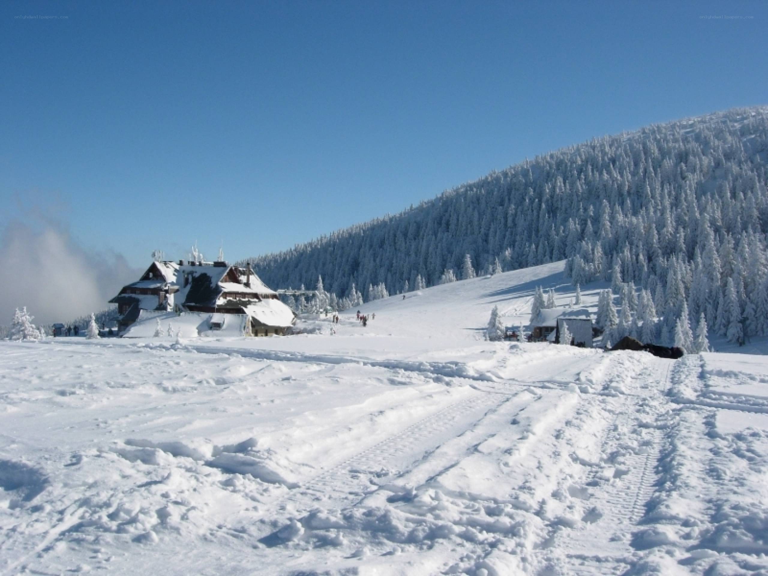 Snowy mountain lodge scene