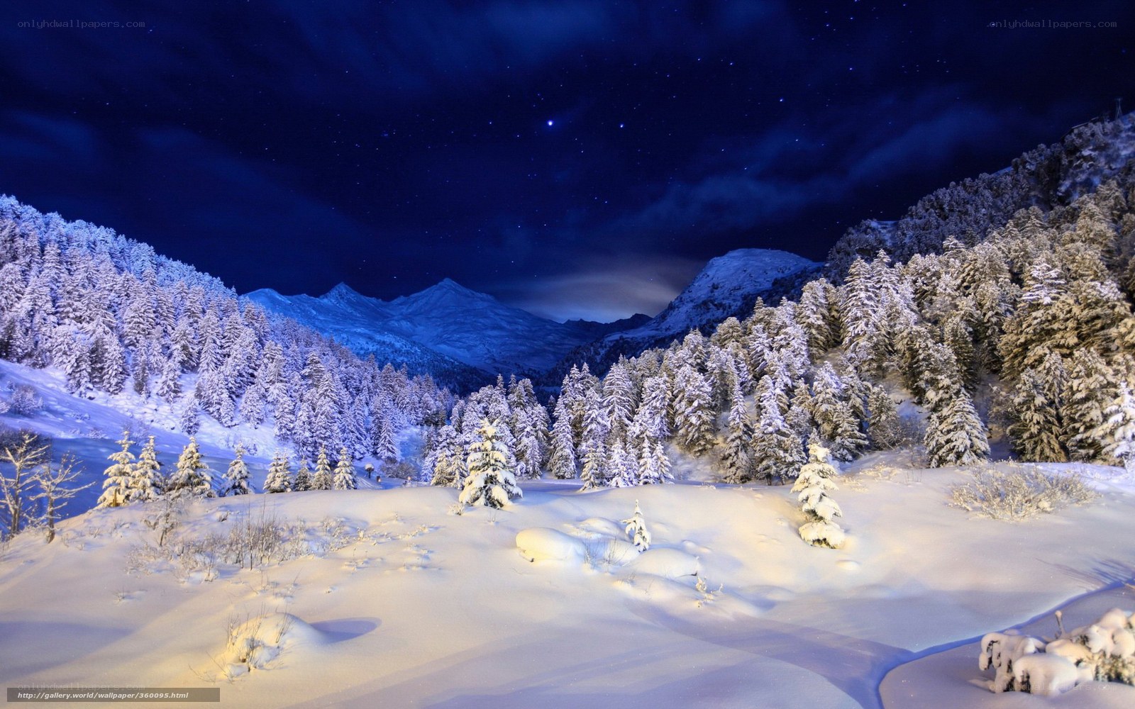 Snowy mountain night landscape