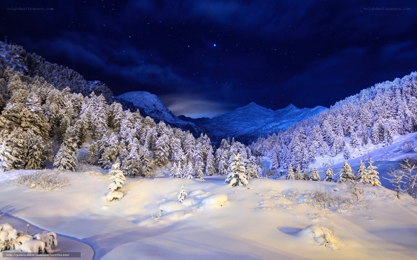 Snowy mountain night landscape