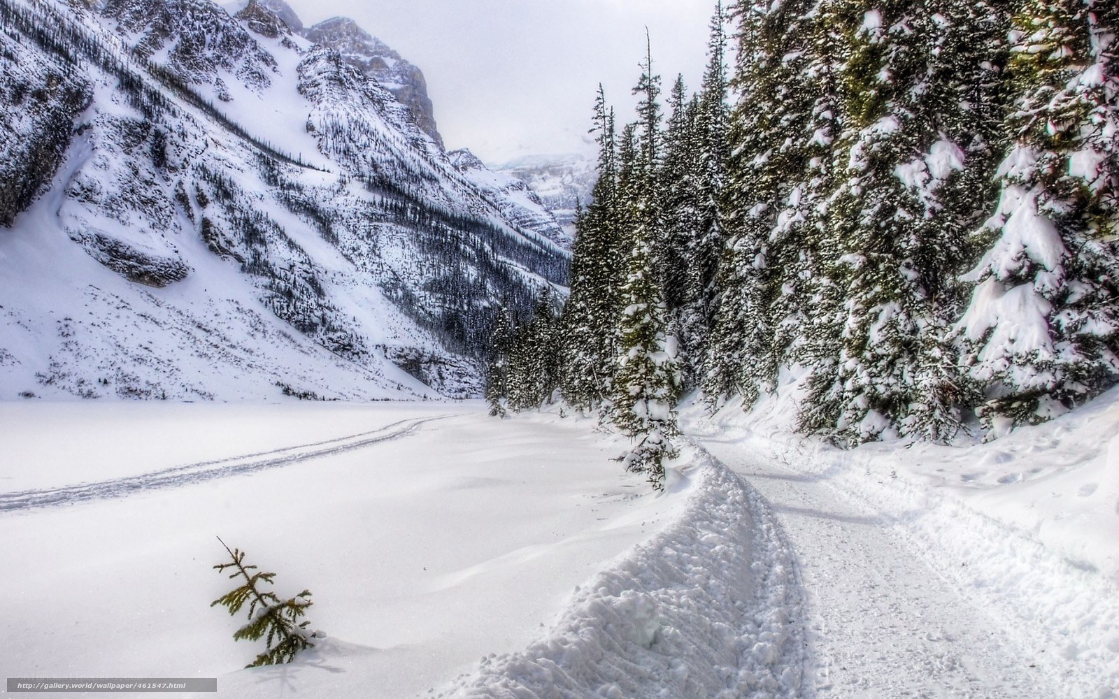 Snowy mountain path