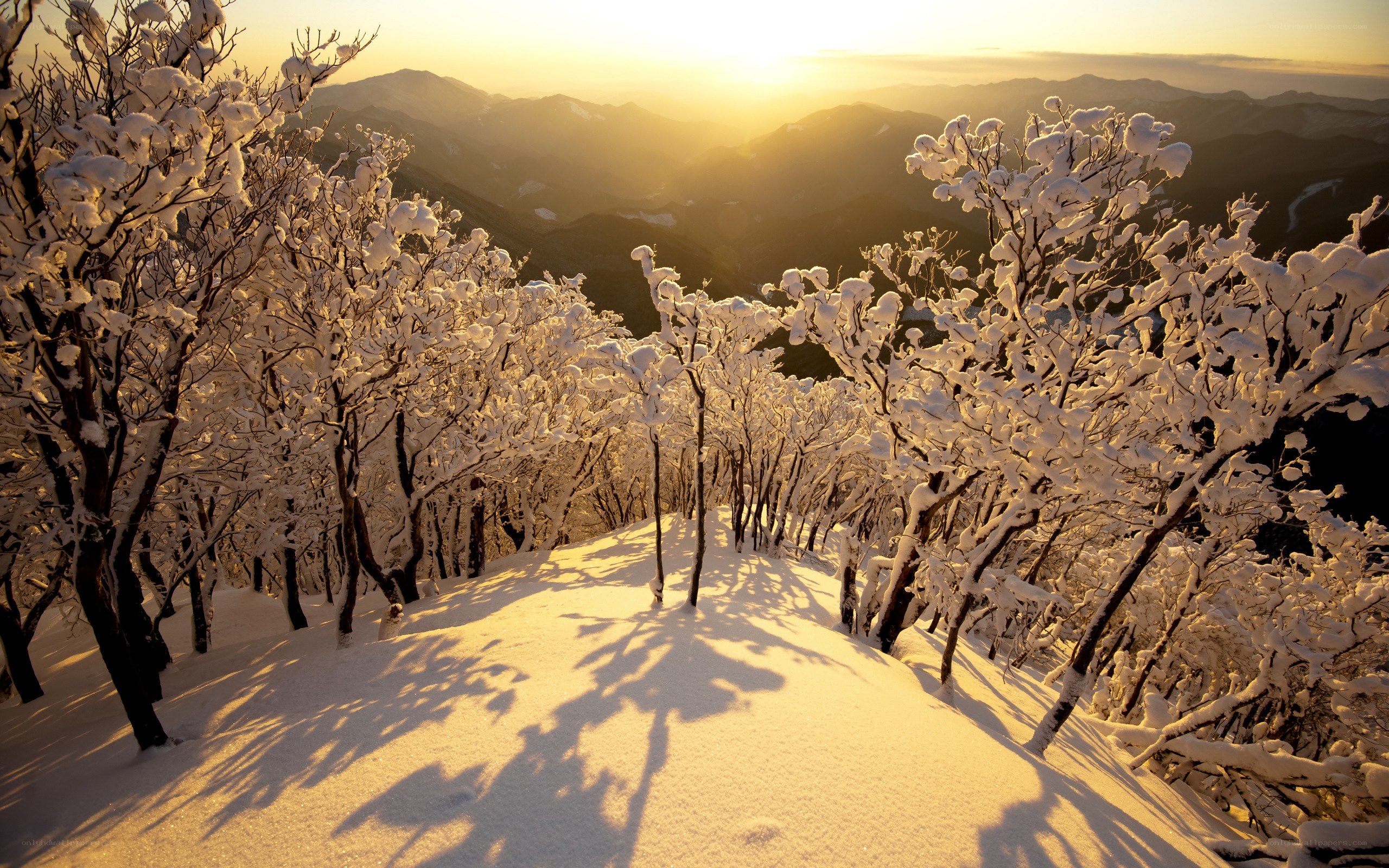 Snowy mountain path at sunrise