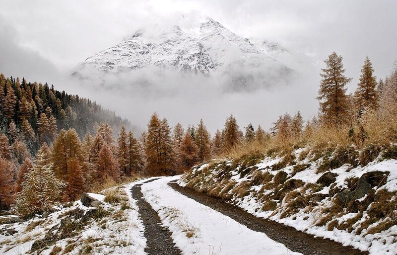 Snowy mountain path in autumn