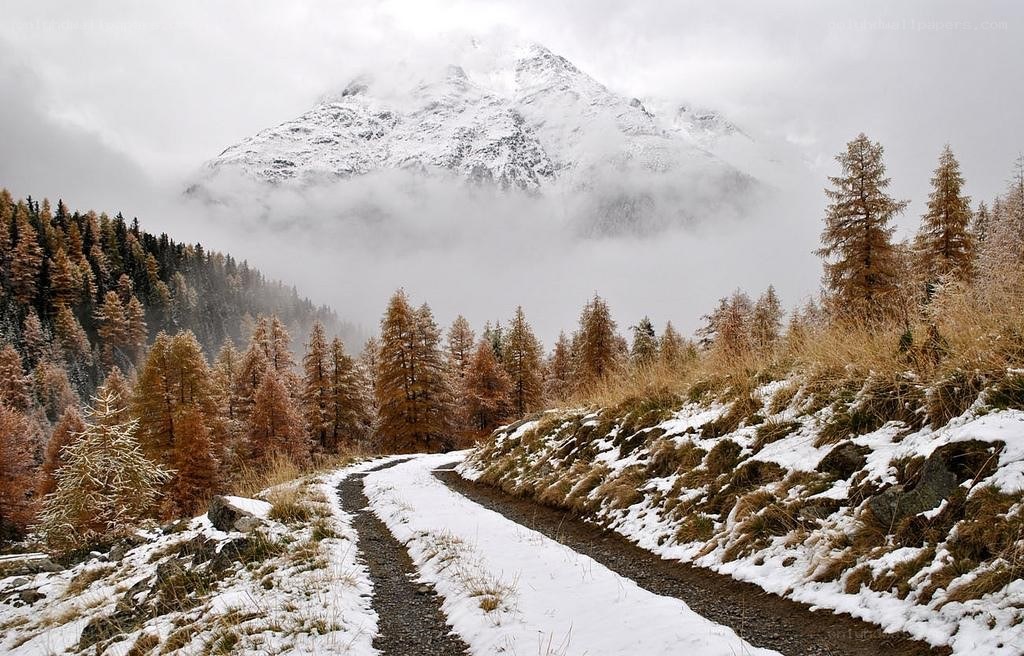 Snowy mountain path in autumn