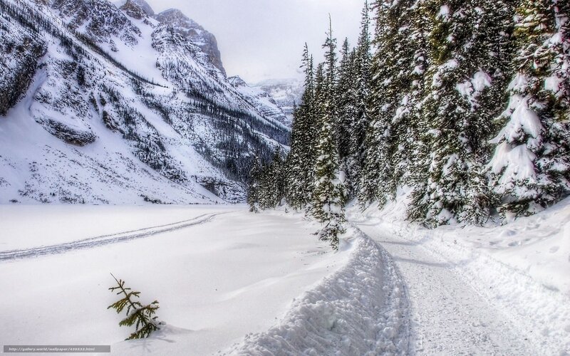 Snowy mountain path