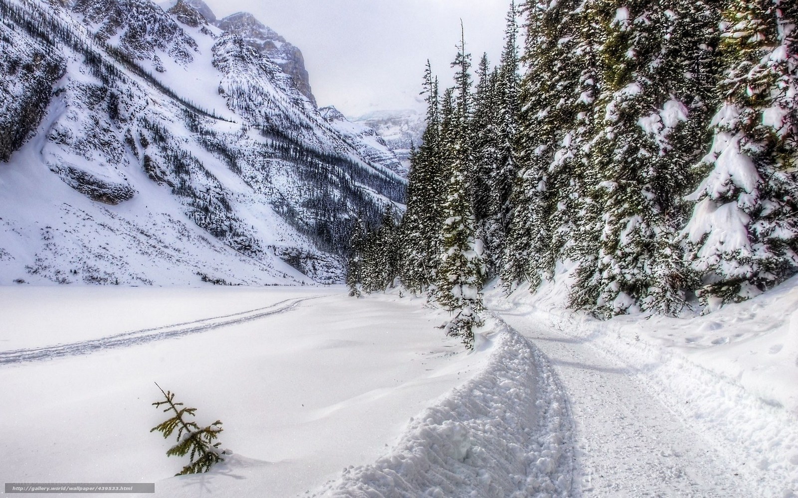 Snowy mountain path