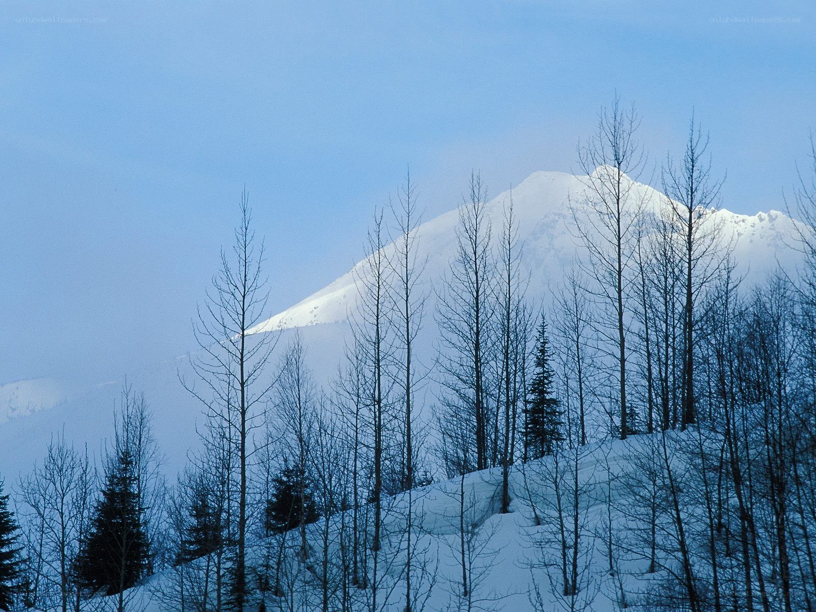 Snowy mountain peak