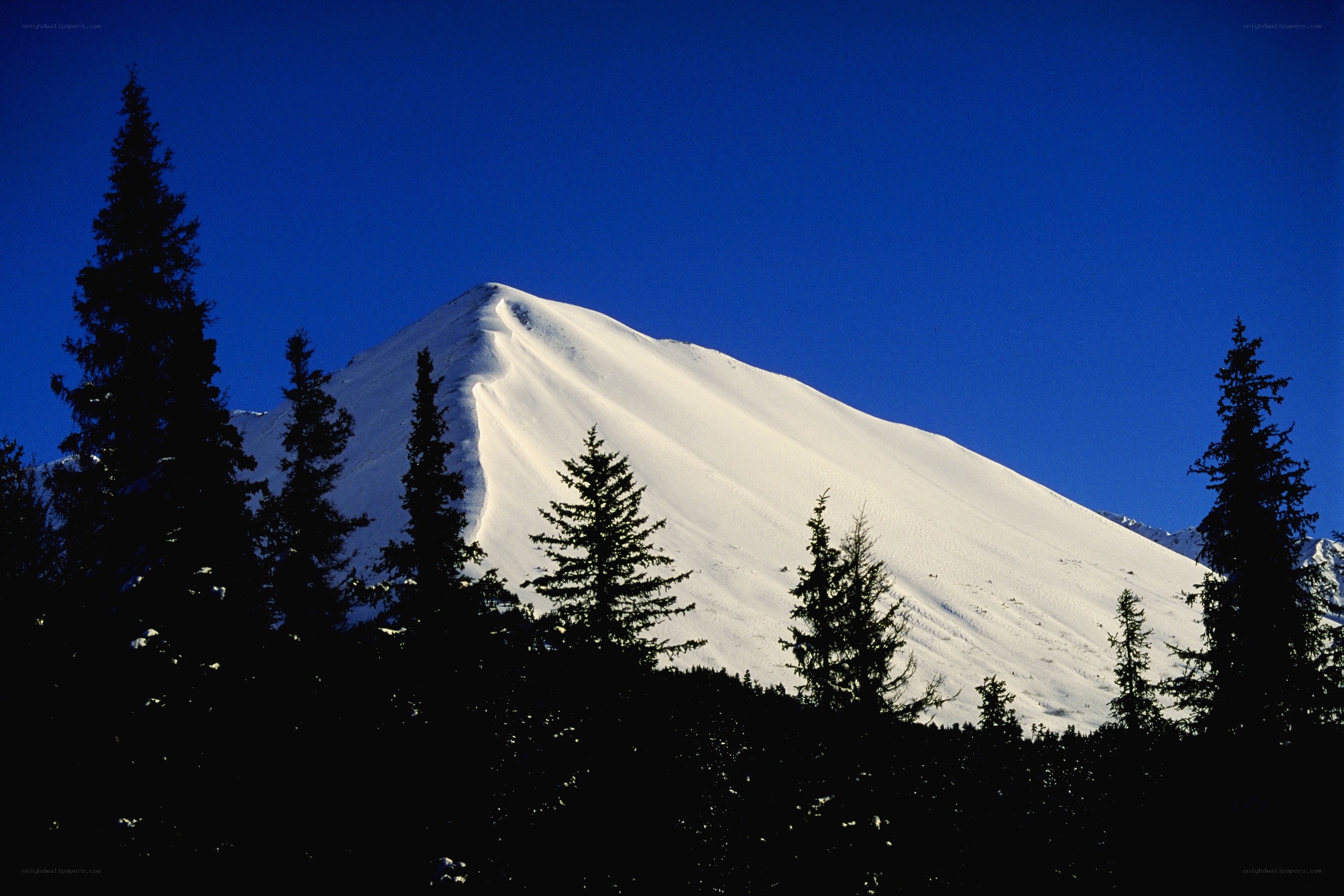 Snowy mountain peak at dusk
