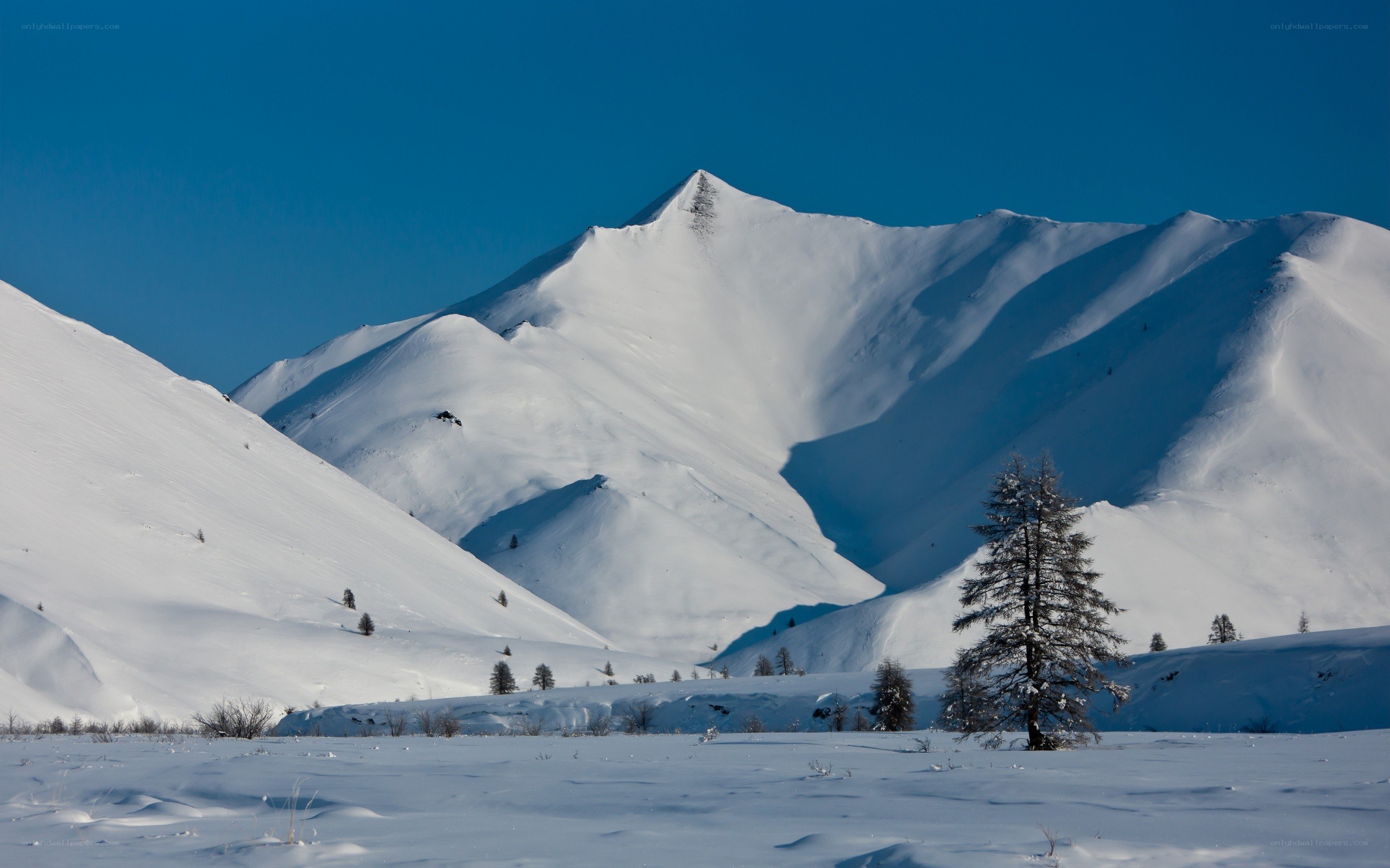 Snowy mountain peak under blue sky