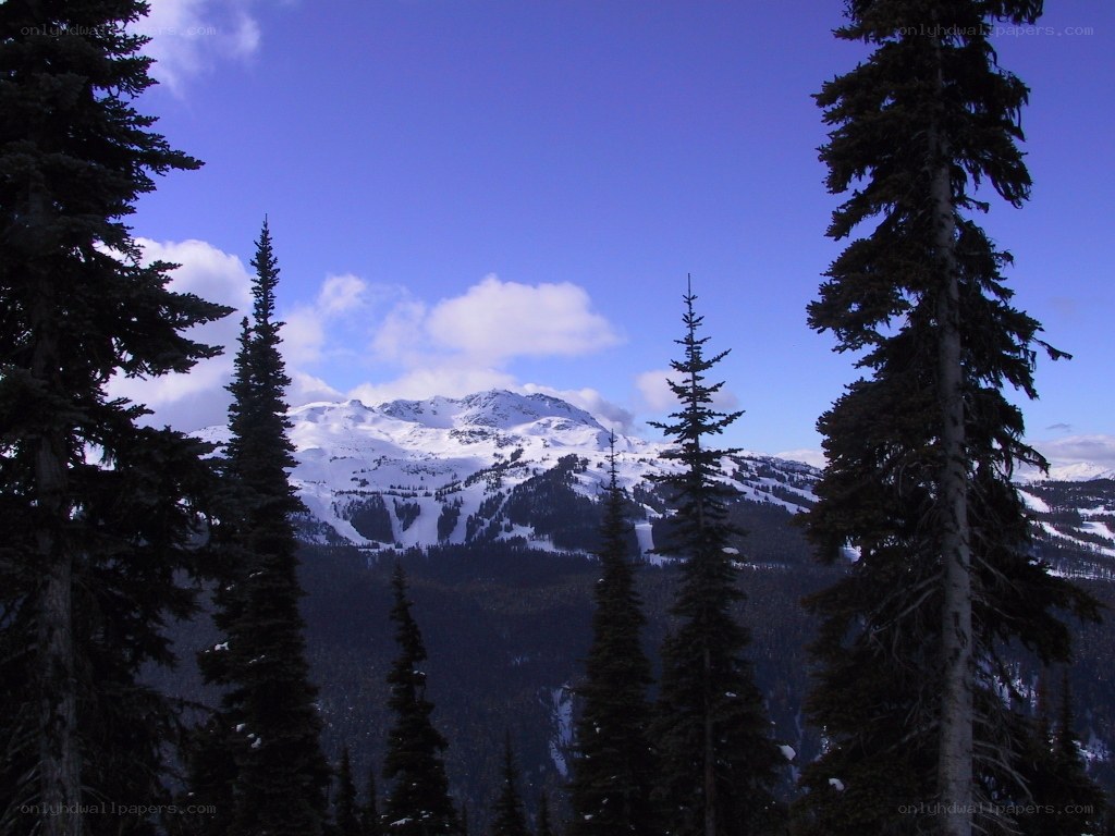 Snowy mountain peak view
