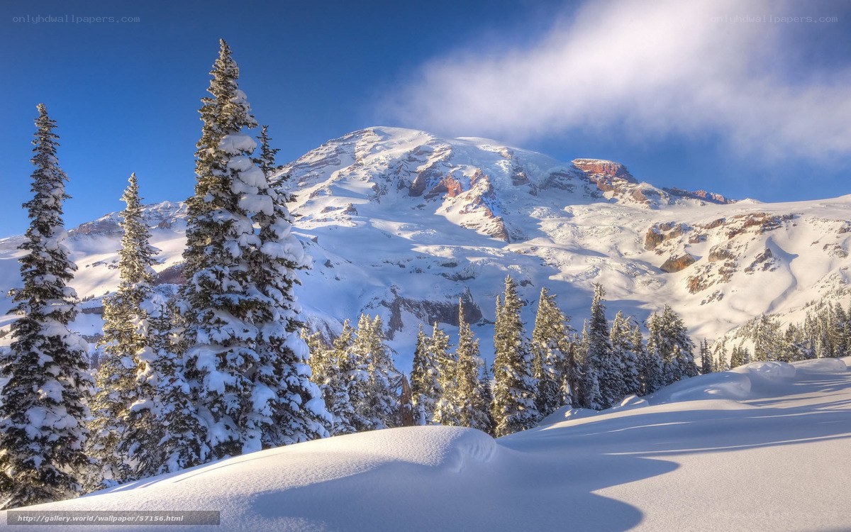 Snowy mountain peak with evergreens
