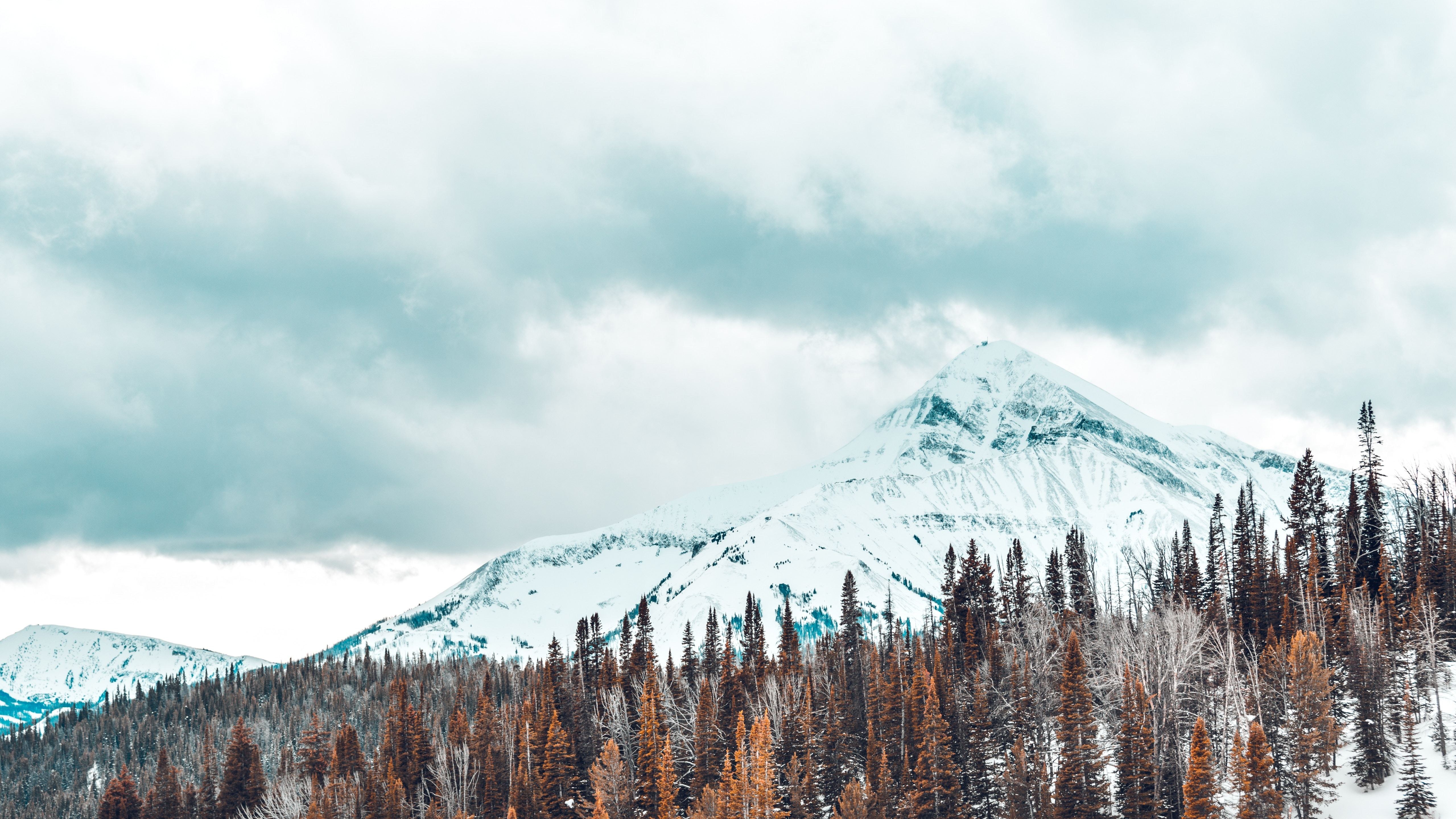 Snowy mountain peak with forest