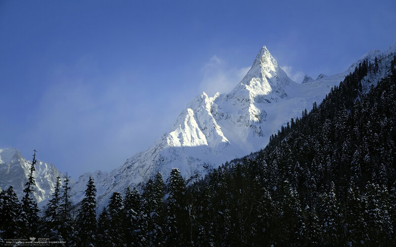 Snowy mountain peak with forest