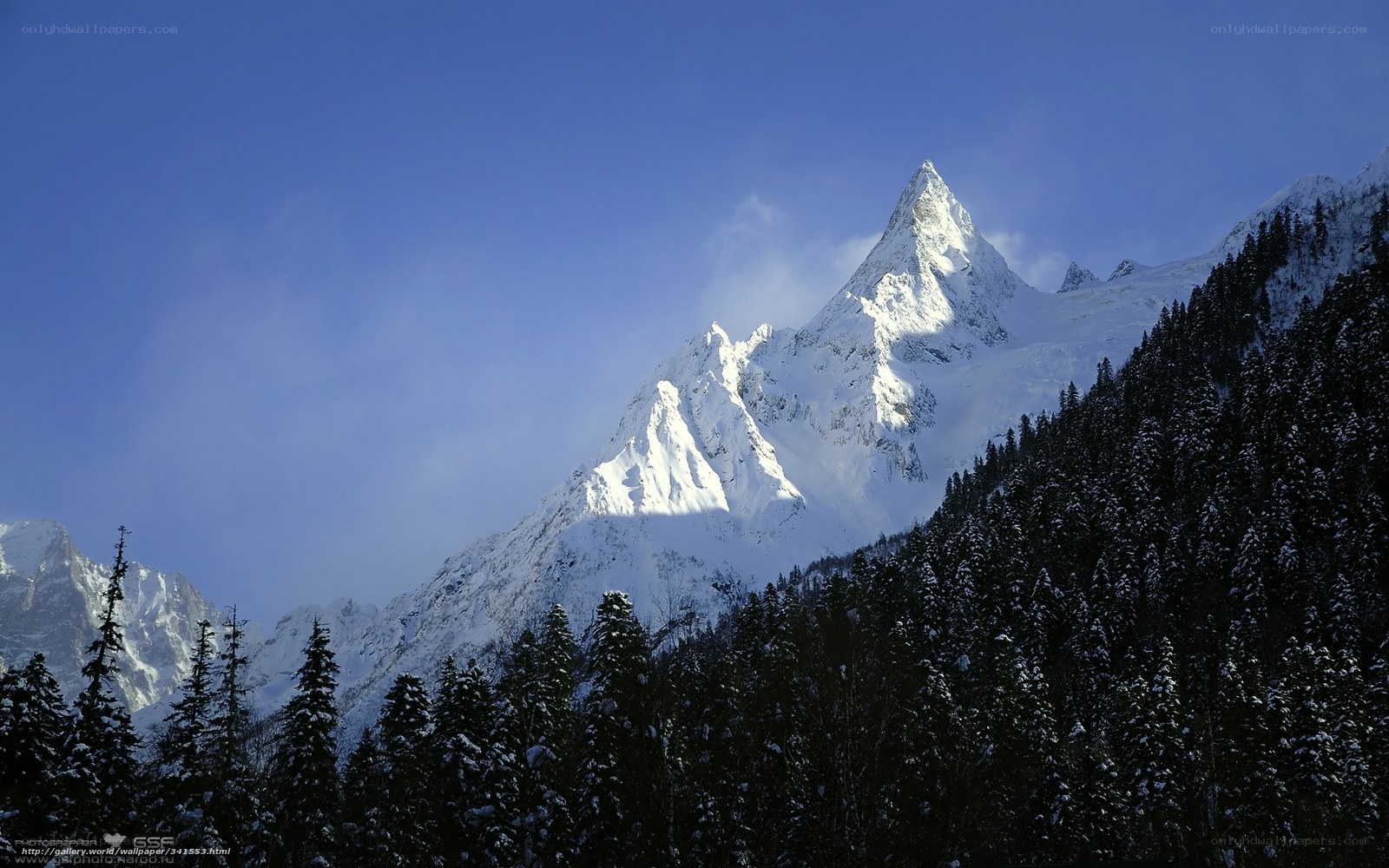 Snowy mountain peak with forest