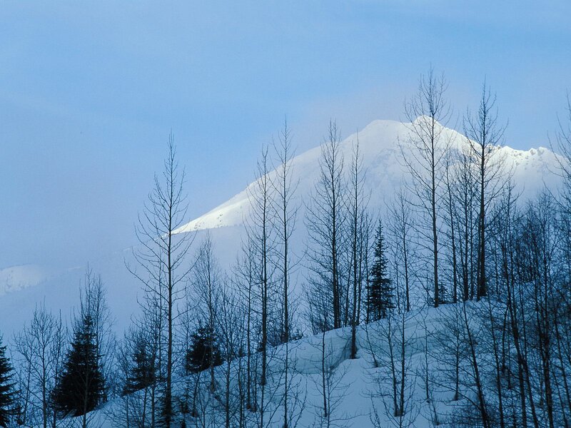Snowy mountain peak with trees