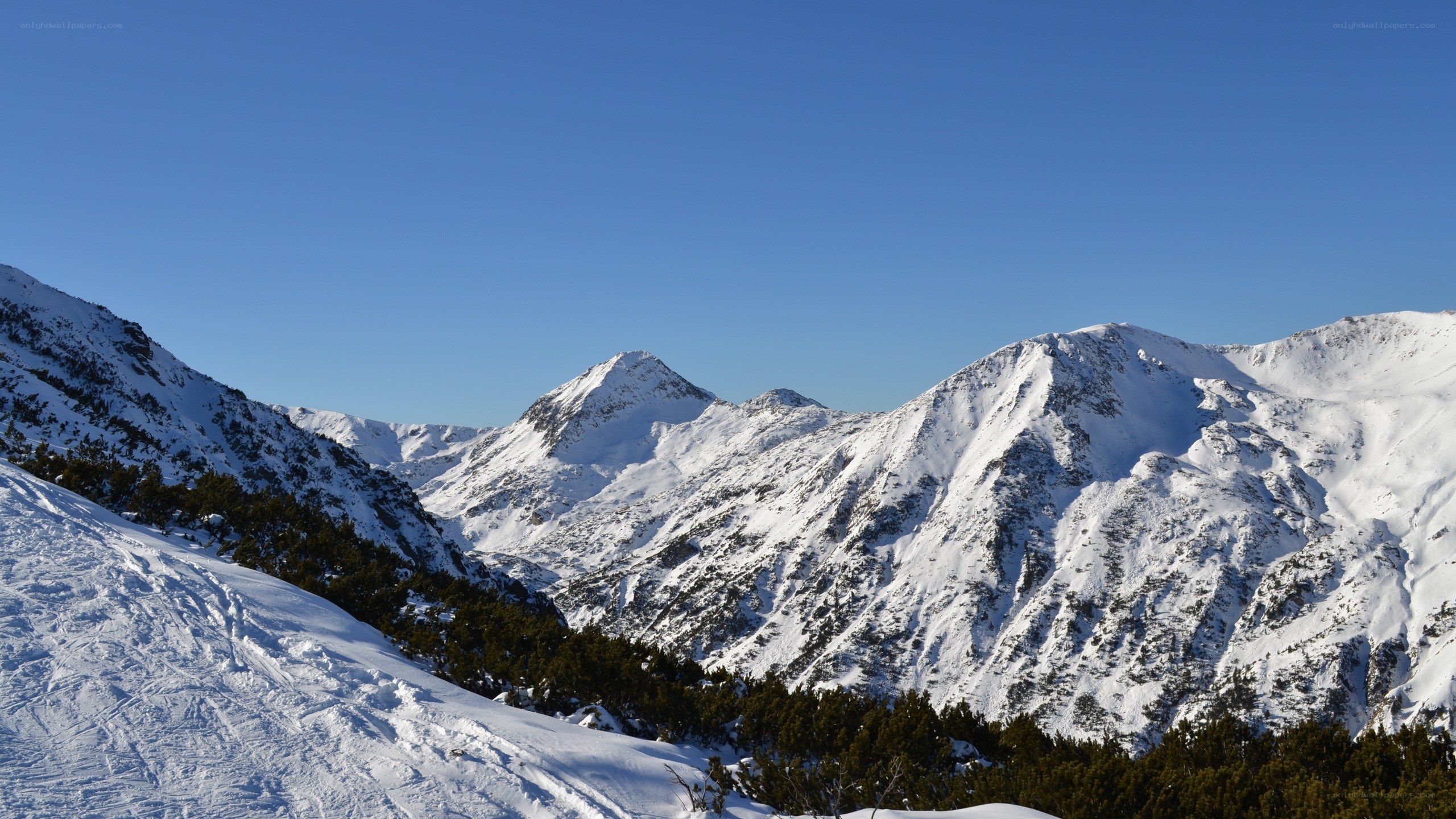 snowy mountain peaks