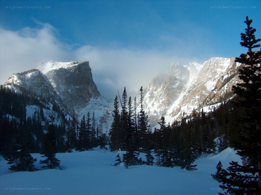 snowy mountain peaks and evergreens