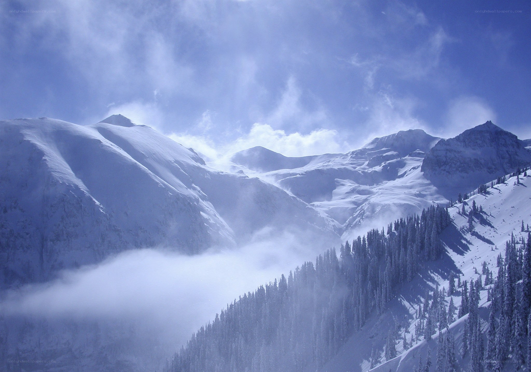 Snowy mountain peaks and forest