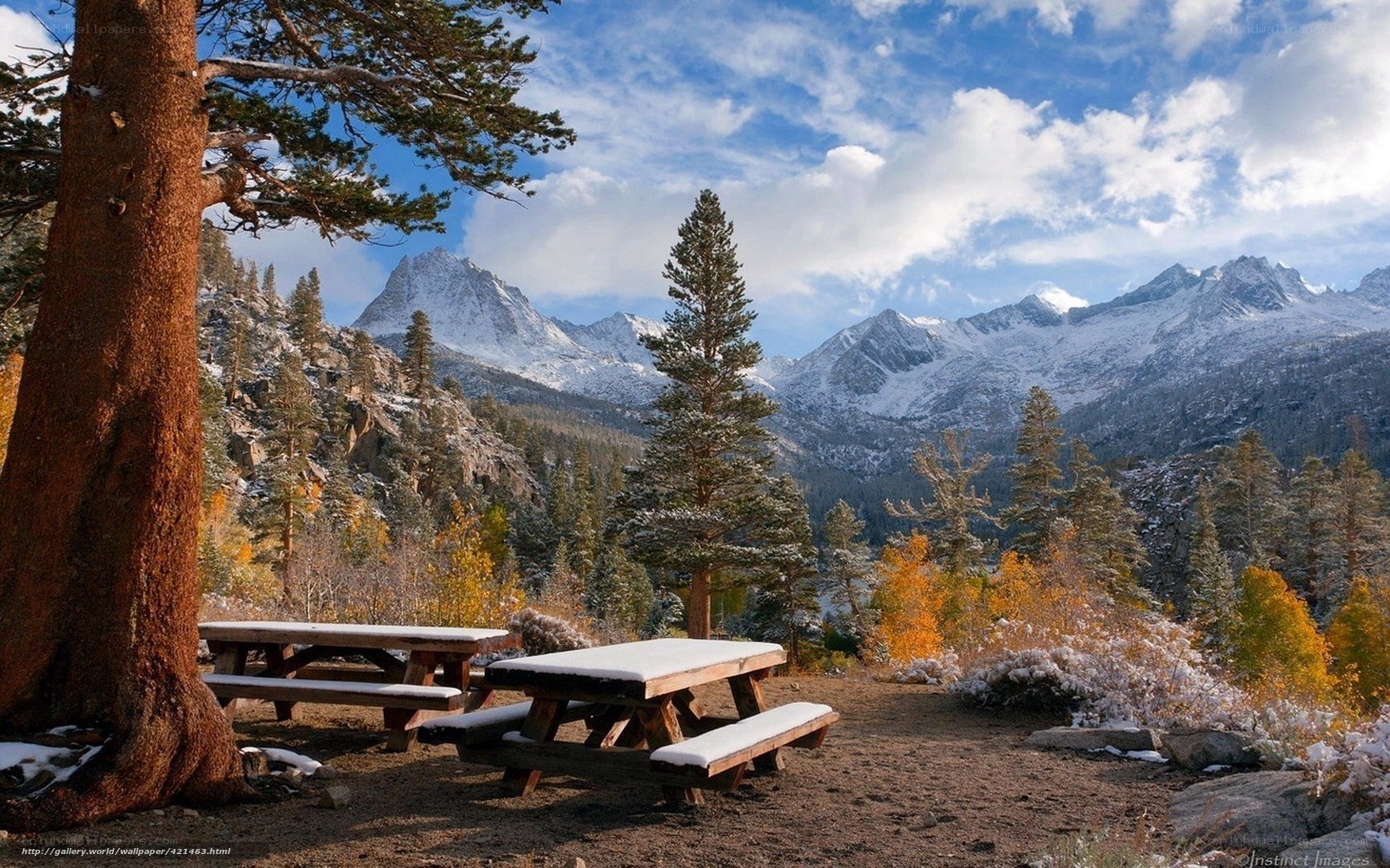 Snowy mountain picnic area